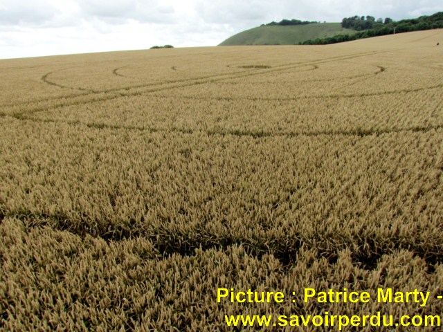 Chalk Pit, Wiltshire crop circle, aerial photo 49